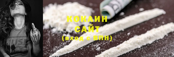 сатива Баксан