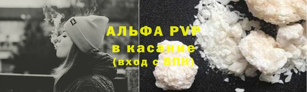 сатива Баксан