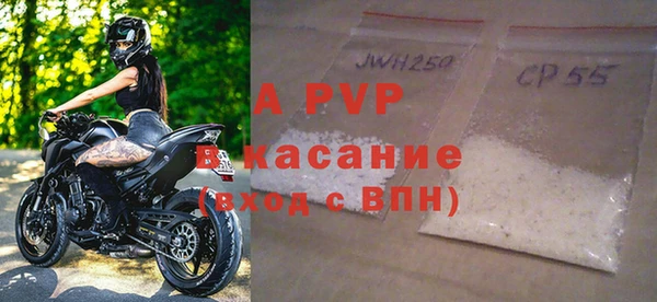 сатива Баксан