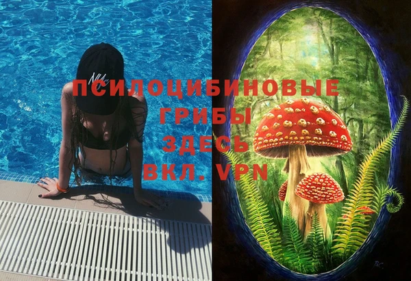 сатива Баксан